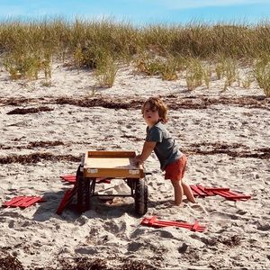 Zara palm tree 🌴 swim trunk 12-24M